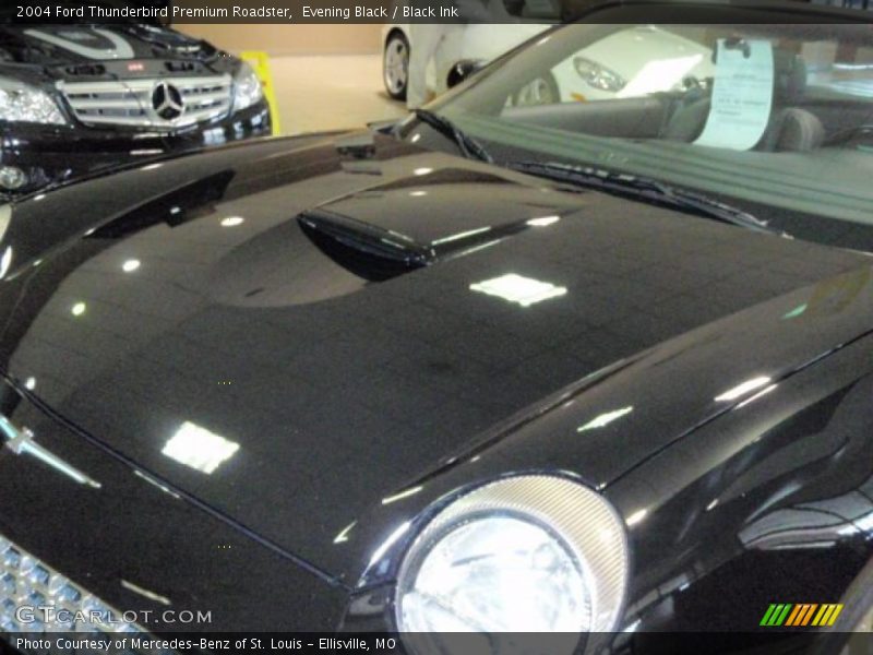 Evening Black / Black Ink 2004 Ford Thunderbird Premium Roadster