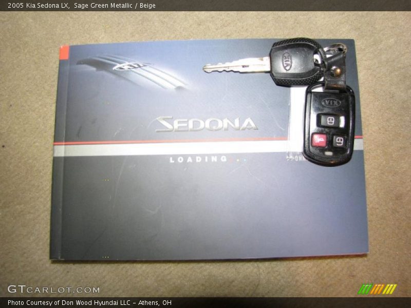 Sage Green Metallic / Beige 2005 Kia Sedona LX