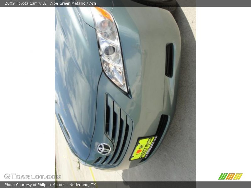 Aloe Green Metallic / Ash 2009 Toyota Camry LE