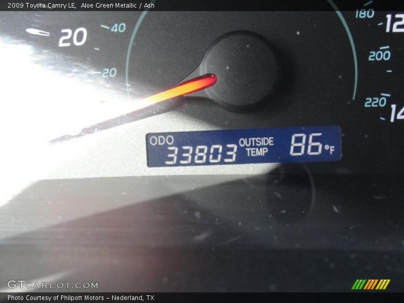 Aloe Green Metallic / Ash 2009 Toyota Camry LE