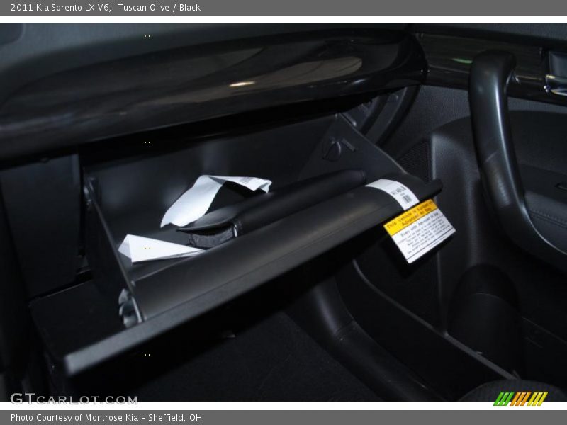 Tuscan Olive / Black 2011 Kia Sorento LX V6