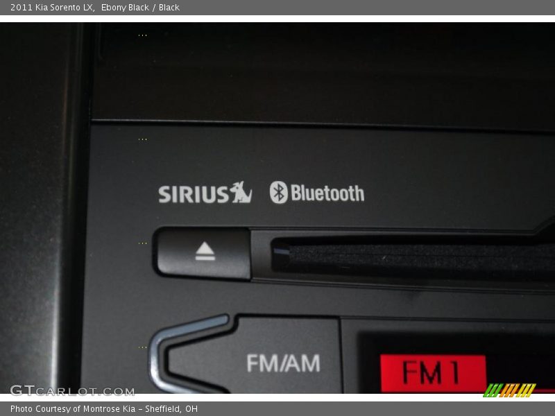 Ebony Black / Black 2011 Kia Sorento LX