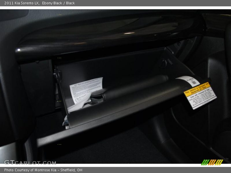 Ebony Black / Black 2011 Kia Sorento LX