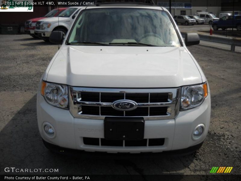 White Suede / Camel 2011 Ford Escape XLT 4WD