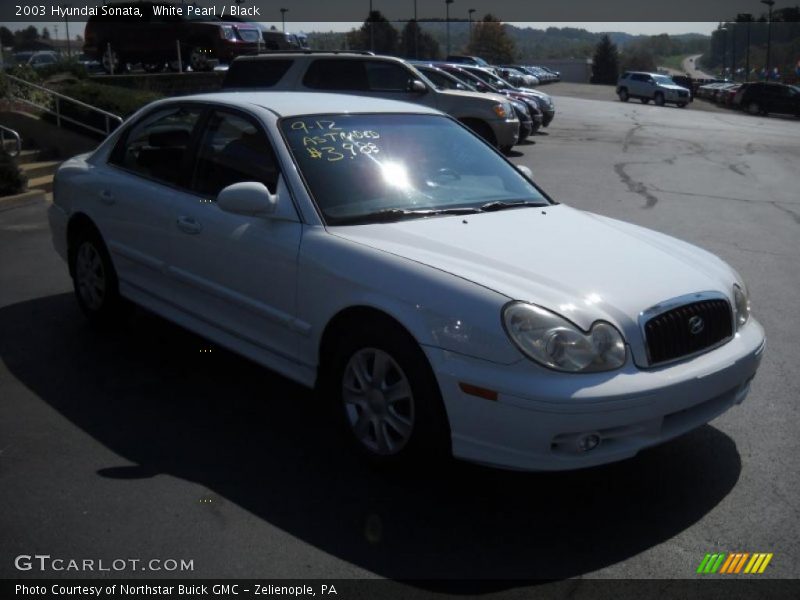 White Pearl / Black 2003 Hyundai Sonata