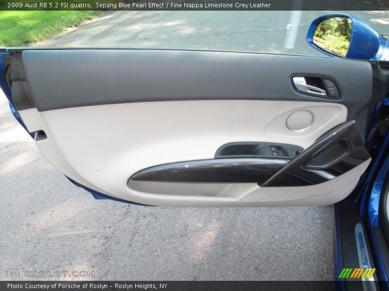 Door Panel of 2009 R8 5.2 FSI quattro