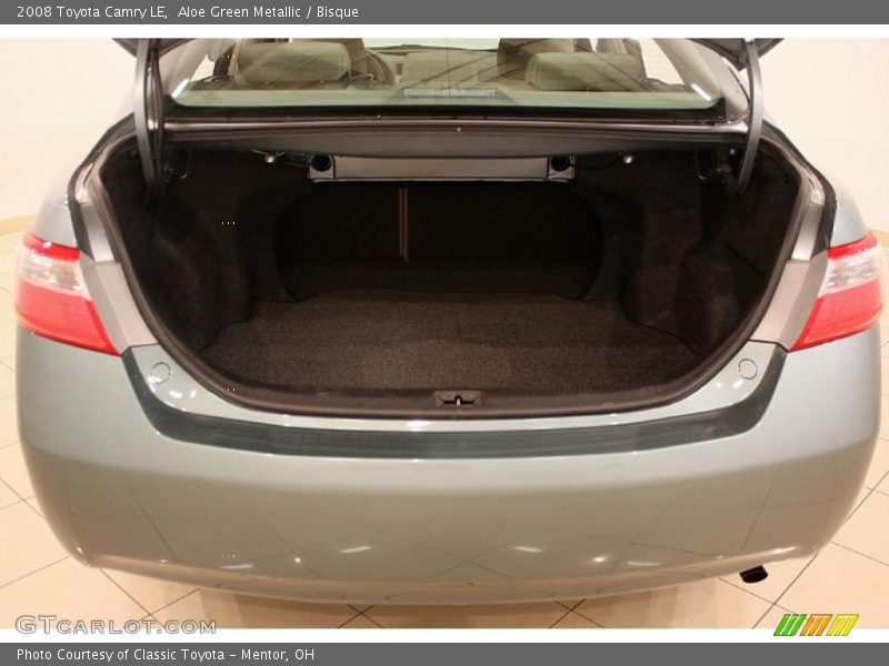 Aloe Green Metallic / Bisque 2008 Toyota Camry LE