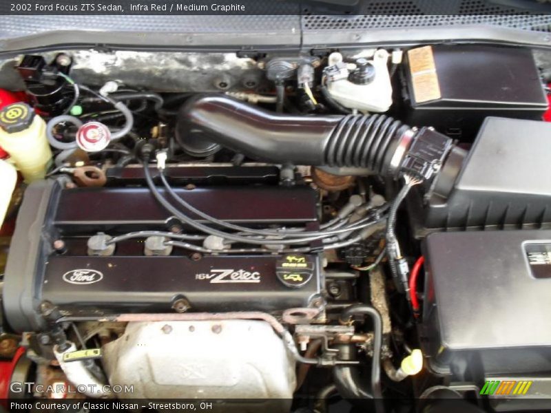 Infra Red / Medium Graphite 2002 Ford Focus ZTS Sedan