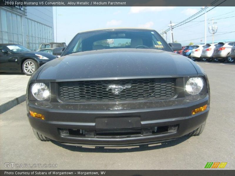 Alloy Metallic / Medium Parchment 2009 Ford Mustang V6 Convertible