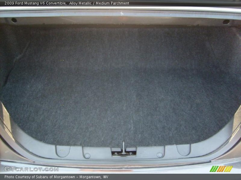 Alloy Metallic / Medium Parchment 2009 Ford Mustang V6 Convertible