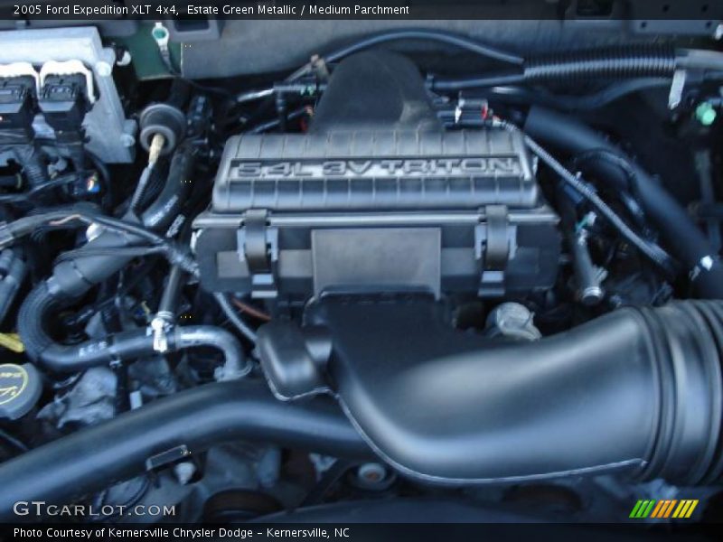 Estate Green Metallic / Medium Parchment 2005 Ford Expedition XLT 4x4