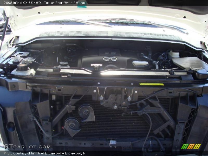 Tuscan Pearl White / Wheat 2008 Infiniti QX 56 4WD