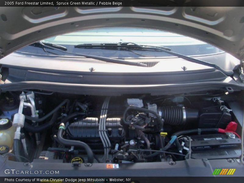 Spruce Green Metallic / Pebble Beige 2005 Ford Freestar Limited