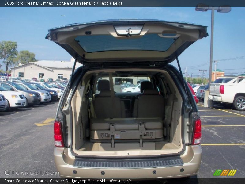 Spruce Green Metallic / Pebble Beige 2005 Ford Freestar Limited