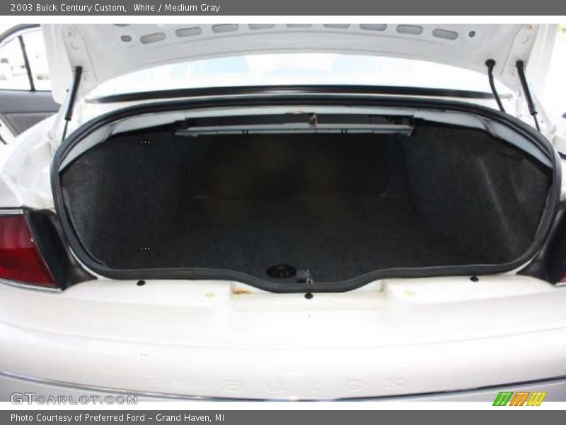 White / Medium Gray 2003 Buick Century Custom