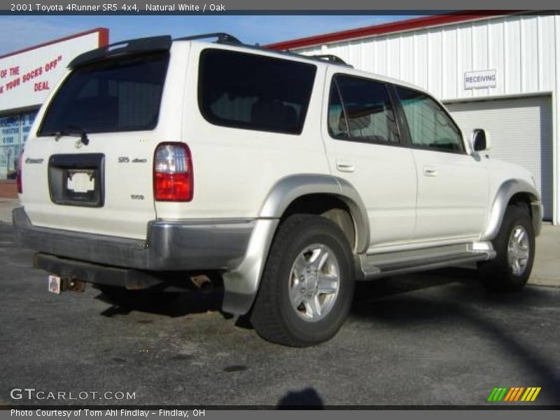 Natural White / Oak 2001 Toyota 4Runner SR5 4x4