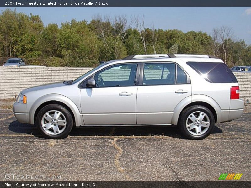 Silver Birch Metallic / Black 2007 Ford Freestyle Limited