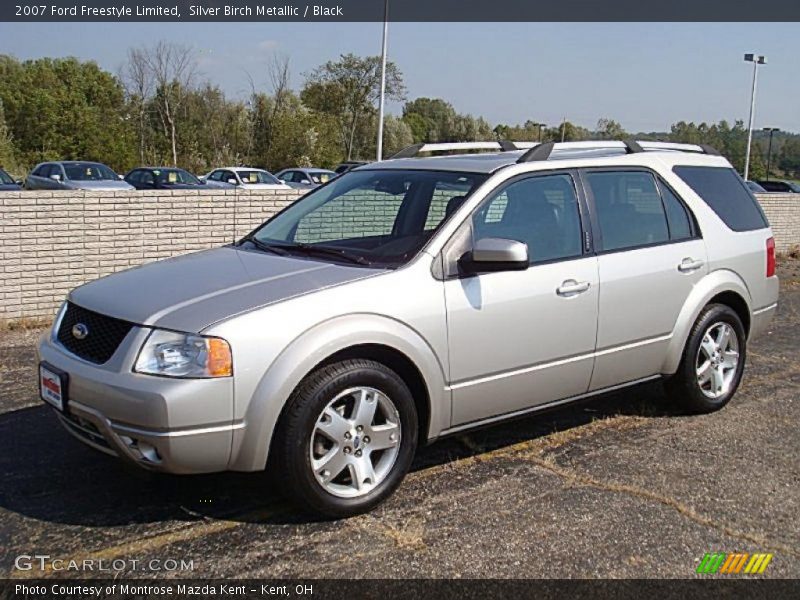 Silver Birch Metallic / Black 2007 Ford Freestyle Limited