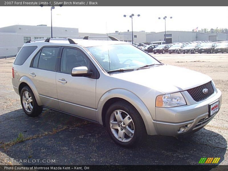 Silver Birch Metallic / Black 2007 Ford Freestyle Limited