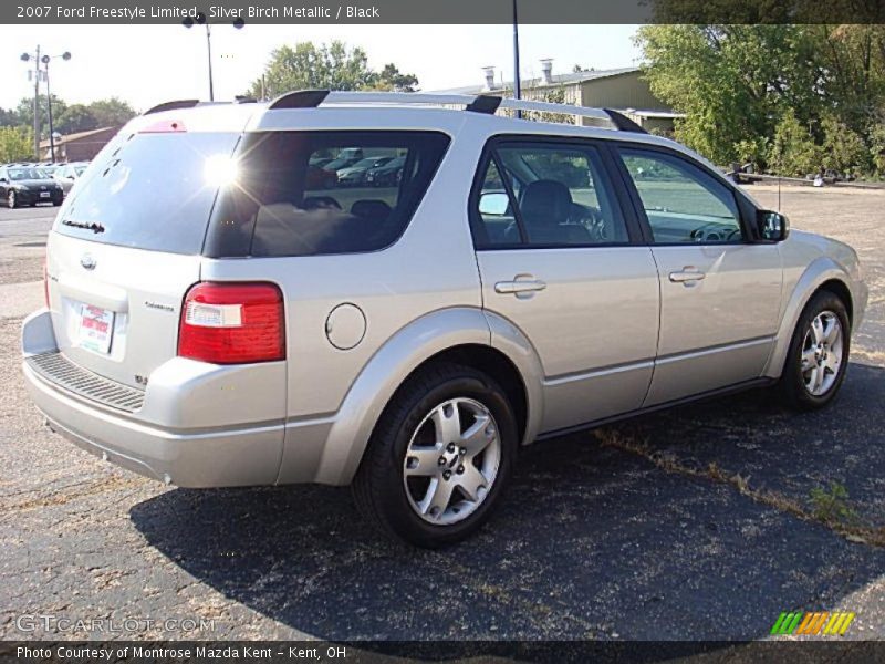 Silver Birch Metallic / Black 2007 Ford Freestyle Limited