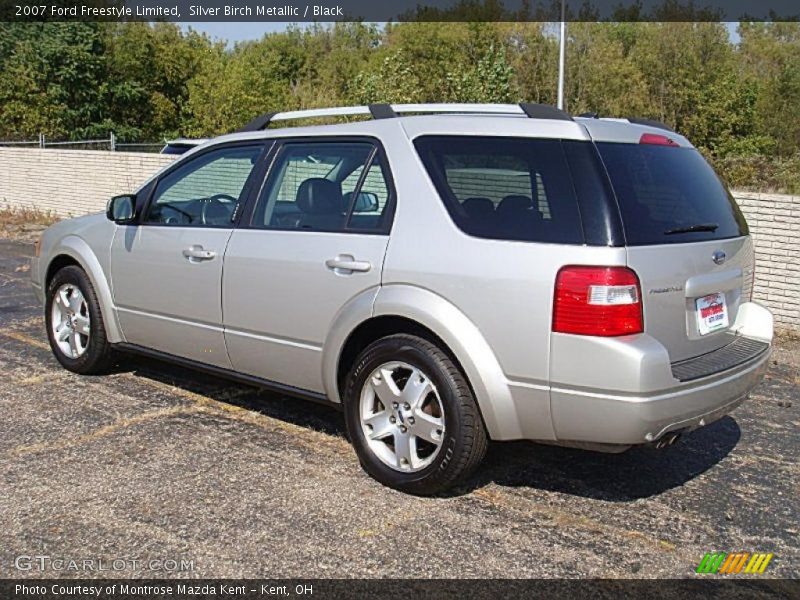 Silver Birch Metallic / Black 2007 Ford Freestyle Limited