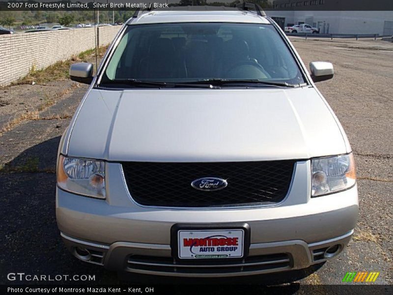 Silver Birch Metallic / Black 2007 Ford Freestyle Limited