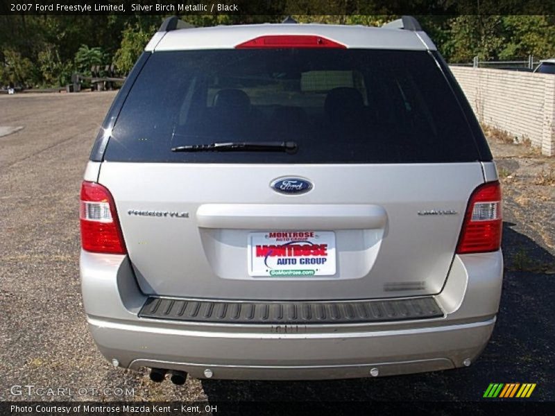 Silver Birch Metallic / Black 2007 Ford Freestyle Limited
