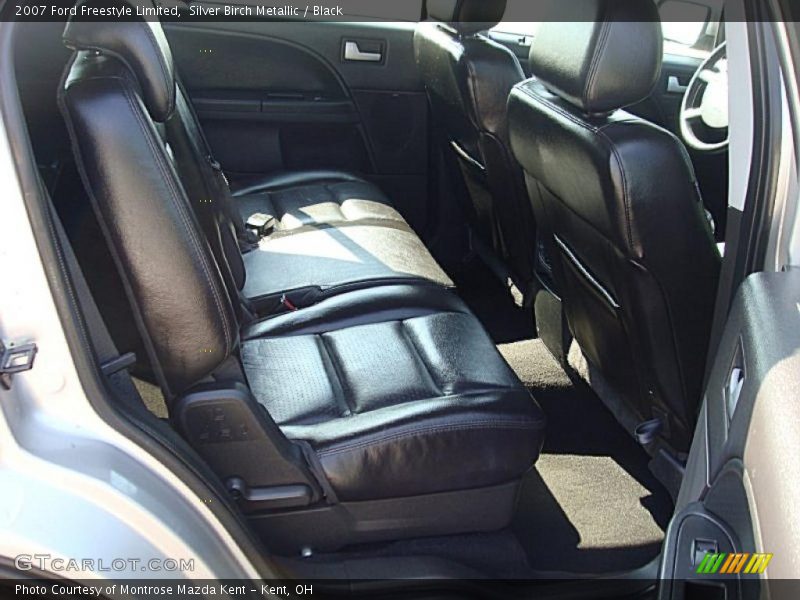Silver Birch Metallic / Black 2007 Ford Freestyle Limited