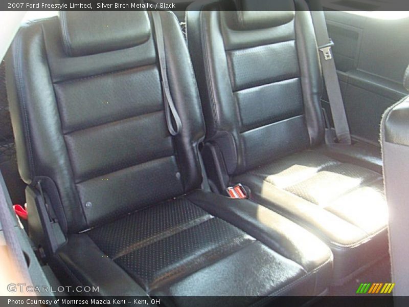 Silver Birch Metallic / Black 2007 Ford Freestyle Limited