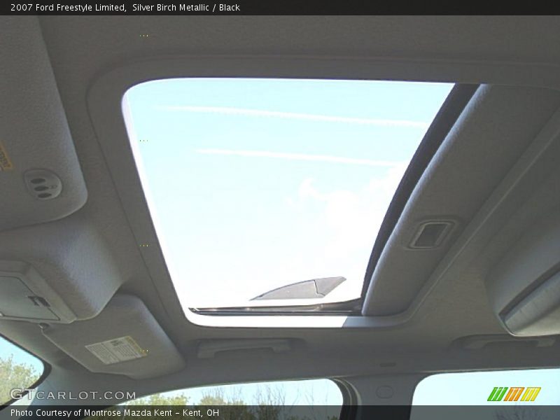 Silver Birch Metallic / Black 2007 Ford Freestyle Limited