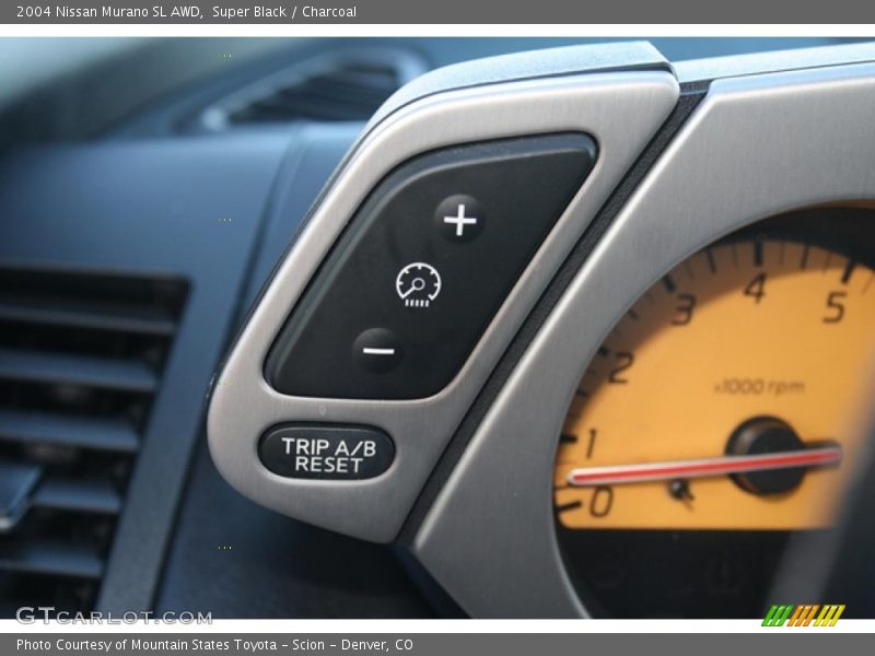 Super Black / Charcoal 2004 Nissan Murano SL AWD