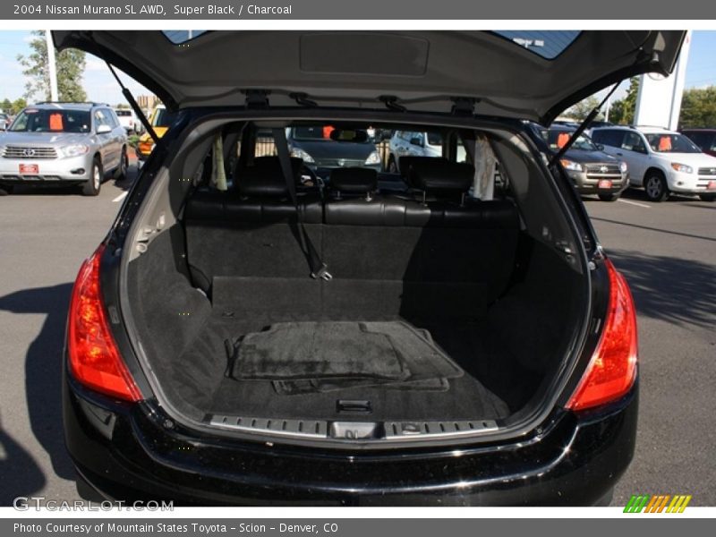 Super Black / Charcoal 2004 Nissan Murano SL AWD