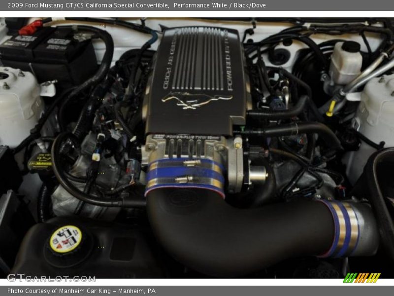 Performance White / Black/Dove 2009 Ford Mustang GT/CS California Special Convertible