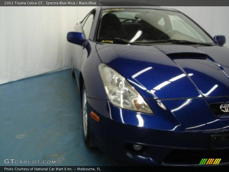 Spectra Blue Mica / Black/Blue 2001 Toyota Celica GT
