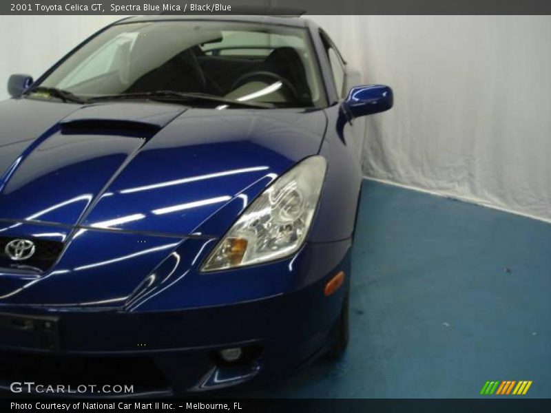 Spectra Blue Mica / Black/Blue 2001 Toyota Celica GT