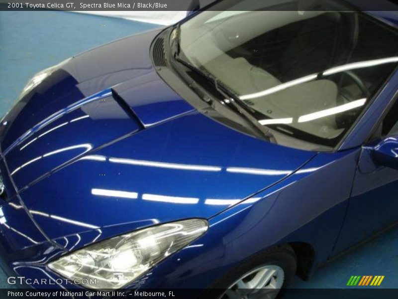 Spectra Blue Mica / Black/Blue 2001 Toyota Celica GT