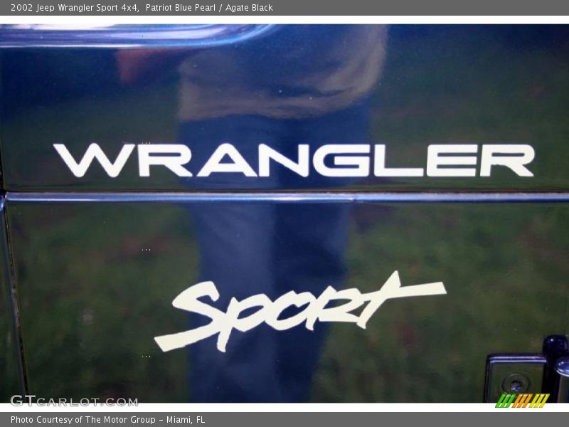 Patriot Blue Pearl / Agate Black 2002 Jeep Wrangler Sport 4x4