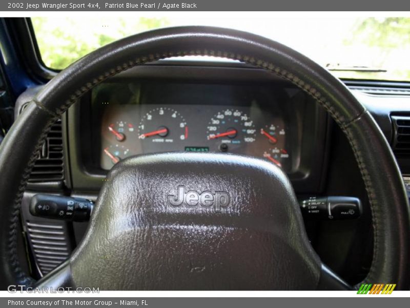 Patriot Blue Pearl / Agate Black 2002 Jeep Wrangler Sport 4x4