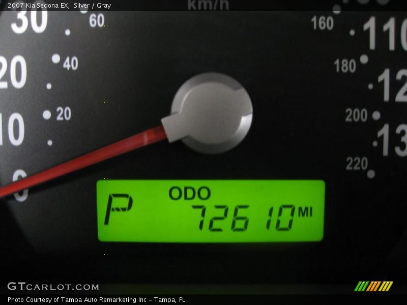 Silver / Gray 2007 Kia Sedona EX