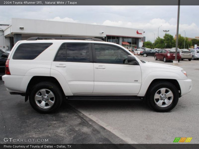 Natural White / Taupe 2004 Toyota 4Runner SR5