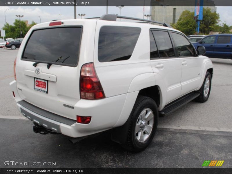 Natural White / Taupe 2004 Toyota 4Runner SR5