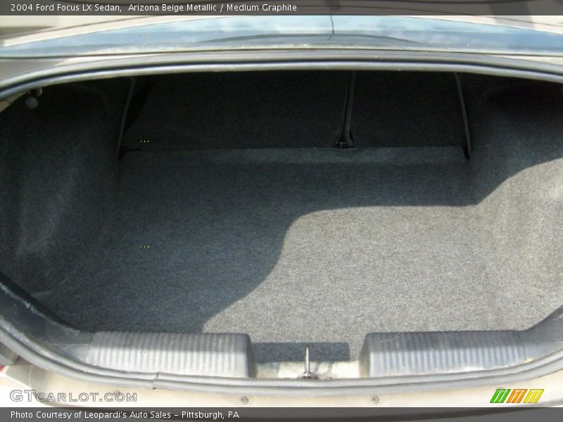 Arizona Beige Metallic / Medium Graphite 2004 Ford Focus LX Sedan