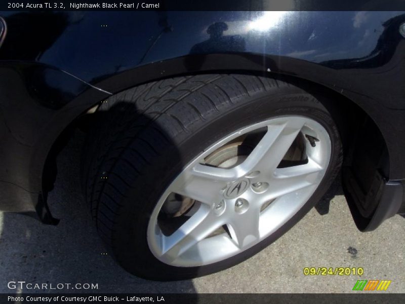 Nighthawk Black Pearl / Camel 2004 Acura TL 3.2