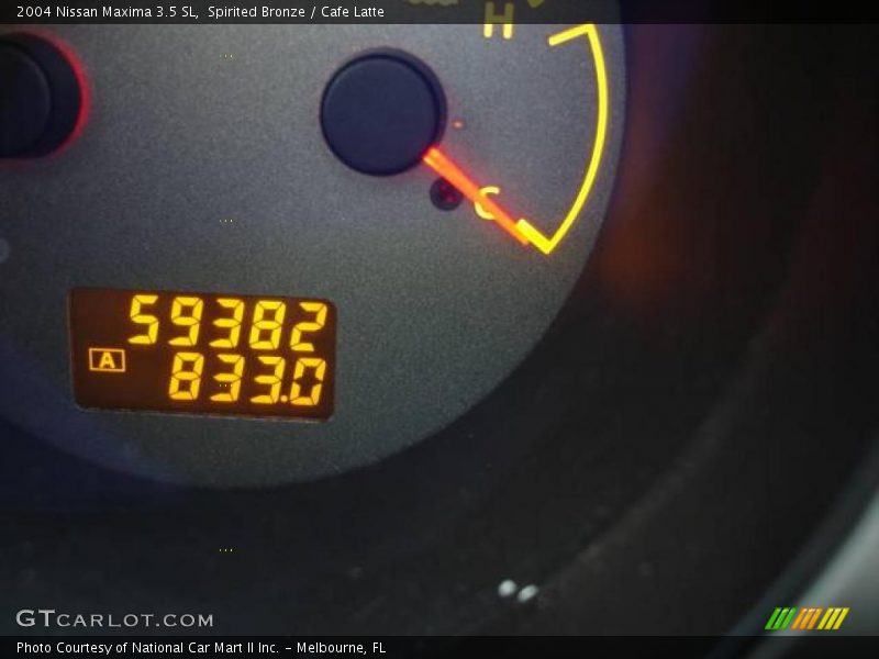 Spirited Bronze / Cafe Latte 2004 Nissan Maxima 3.5 SL