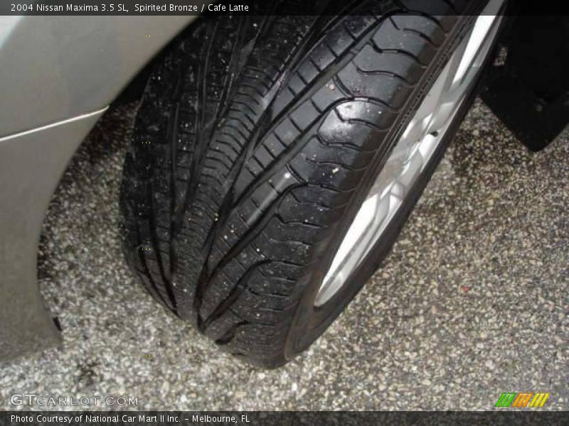 Spirited Bronze / Cafe Latte 2004 Nissan Maxima 3.5 SL