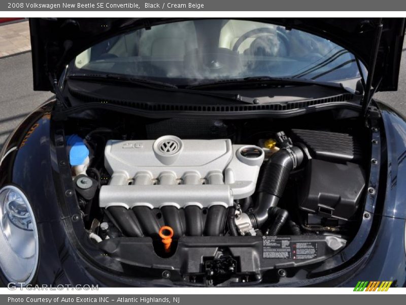 Black / Cream Beige 2008 Volkswagen New Beetle SE Convertible