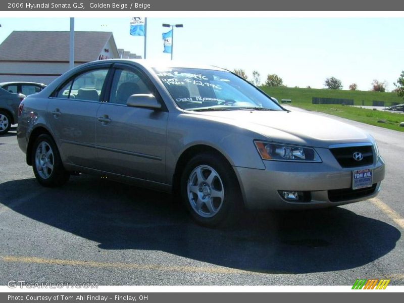 Golden Beige / Beige 2006 Hyundai Sonata GLS
