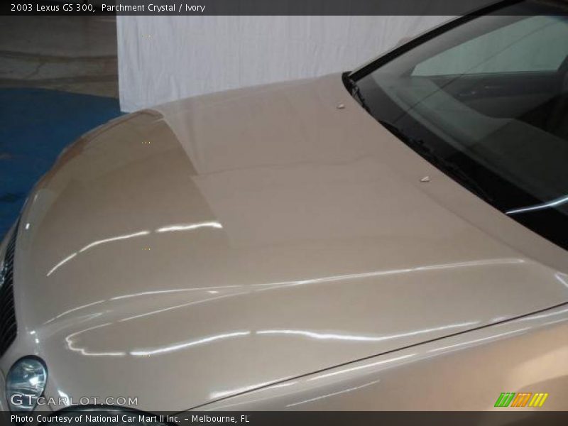 Parchment Crystal / Ivory 2003 Lexus GS 300