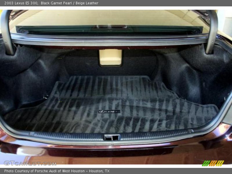 Black Garnet Pearl / Beige Leather 2003 Lexus ES 300