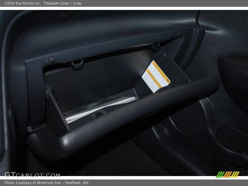 Titanium Gray / Gray 2009 Kia Rondo LX